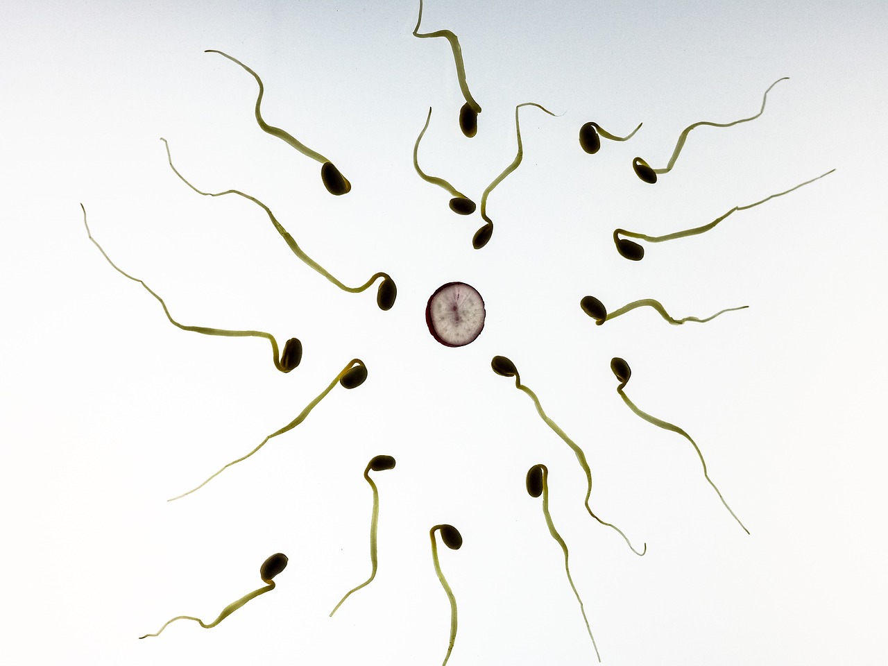 7 errori comuni quando si cerca di potenziare la fertilità naturale