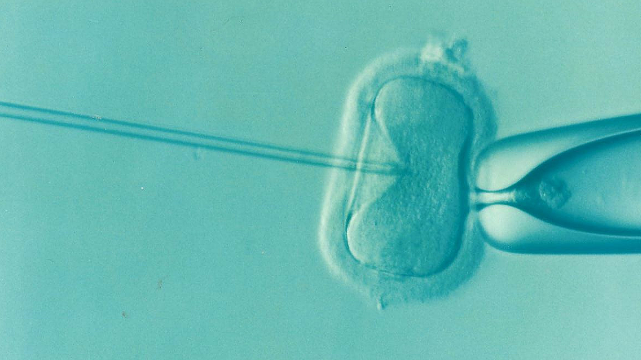 Come regolarizzare le scariche ormonali per migliorare la fertilità